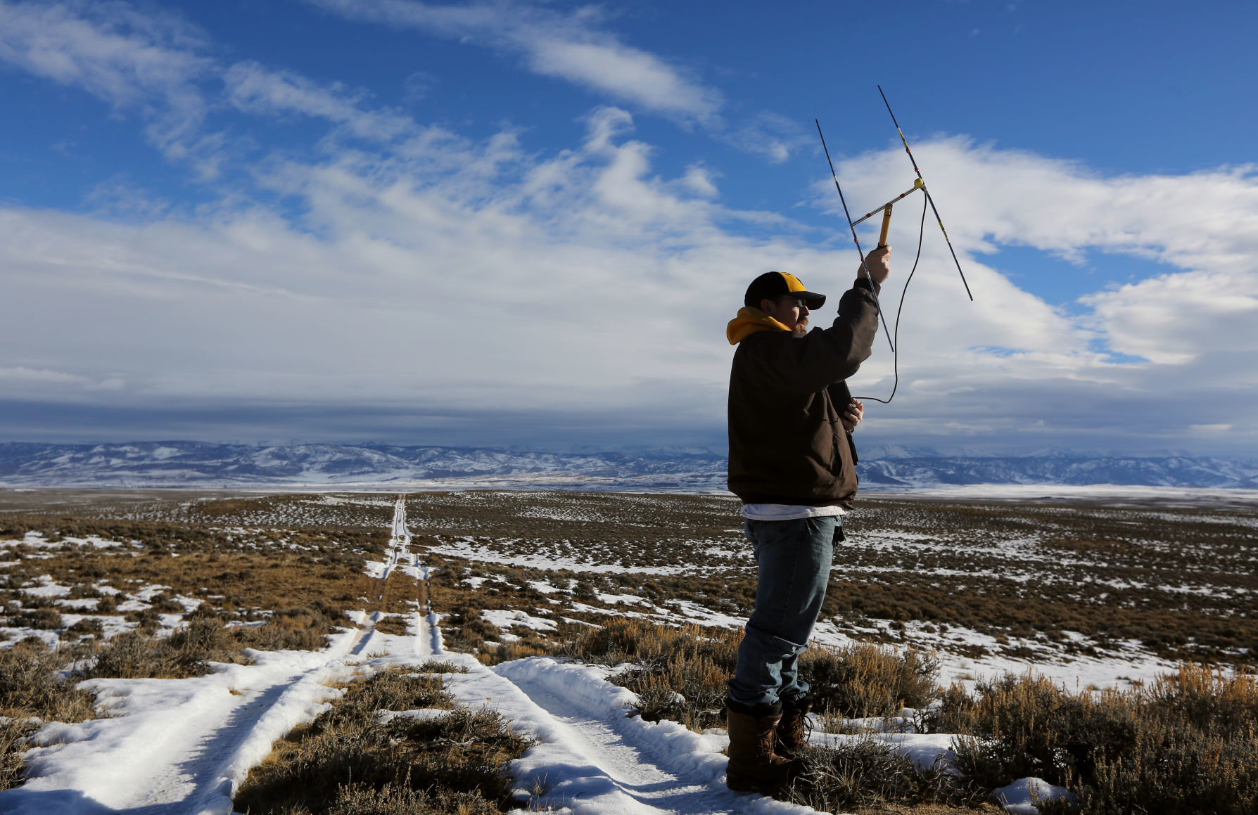 Sage Grouse Eat Dirt